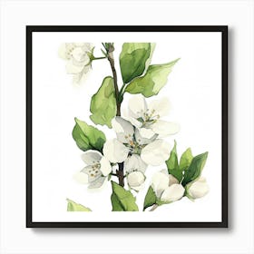 Apple Blossoms 2 Art Print