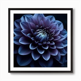 Dark Purple Dahlia Art Print