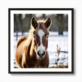 Horse Animal Grass Breeding Head Pasture Donkey Standing Farm Cute White Background Natu (1) 2 Art Print