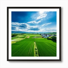 Aerial View Of Rice Fields In Japan Art Print