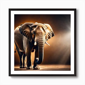 Elephant In The Spotlight Art Print