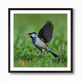 Bird Natural Wild Wildlife Tit Sparrows Sparrow Blue Red Yellow Orange Brown Wing Wings (44) Art Print