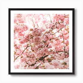 Blossoms Square Art Print