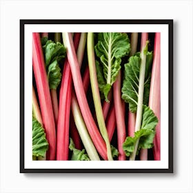 Rhubarb 71 Art Print