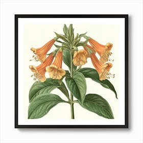 Foxglove Art Art Print