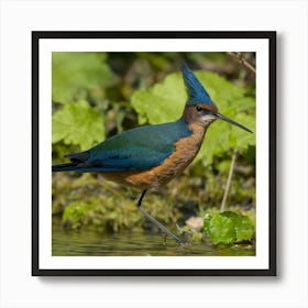 Blue-Winged Teal Art Print