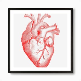 Anatomical Heart Spreading Love Artsy Valentine Gift Art Print