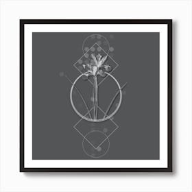 Vintage Spanish Iris Botanical with Line Motif and Dot Pattern in Ghost Gray n.0155 Art Print