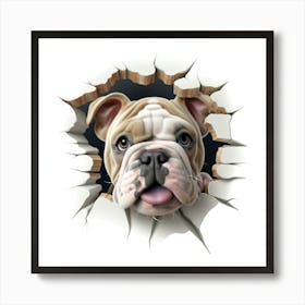 Bulldog 1 Art Print