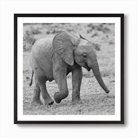 Baby Elephant Art Print