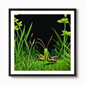 Grasshopper In The Grass Art Print