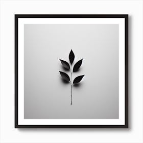 Black And White Leaf Art Print