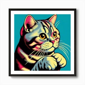 Scottish Shorthair Cat Art Print