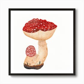 Fly Agaric Watercolor Art Print