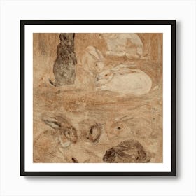 Rabbits 1 6 Art Print