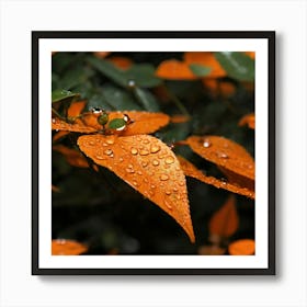 Raindrops On Orange Leaves 1 Affiche