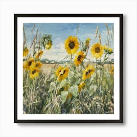 Summer Sunflowers In Aston Field 1 Art Print