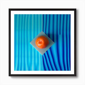 Orange On A Blue Background Art Print