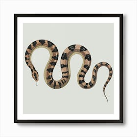 Python Póster