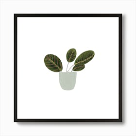 Eucalyptus Art Print