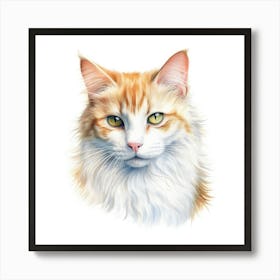 Turkish Van Cat Portrait 1 Art Print