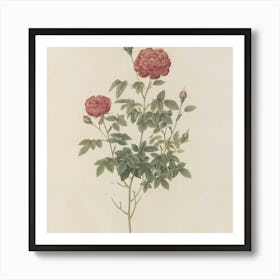 Roses 6 Art Print