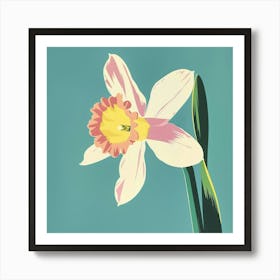 Daffodil 2 Square Flower Illustration Art Print