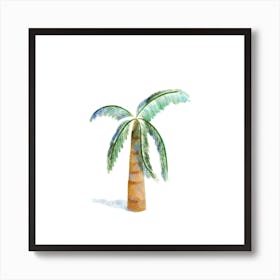 Coconut Tree Plant Illustration Square Art Print