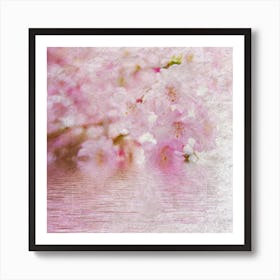 Cherry Blossoms 6 Art Print