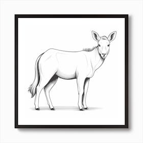 Antelope Art Print