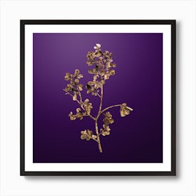 Gold Botanical European Buckthorn on Royal Purple n.3633 Art Print