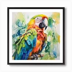 Parrot 2 Art Print