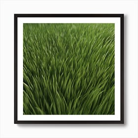 Green Grass 47 Art Print