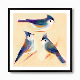 Tufted Titmice Square Art Print