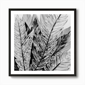 Black And White Leaves Art Print