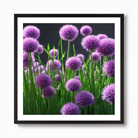 Chrysanthemums 1 Art Print