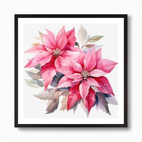 Poinsettia Flowers Art Print