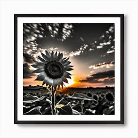 Sunflower At Sunset Art Print