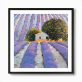 Lavender Field Canvas Print Art Print