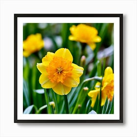 Garden Blossom Summer Grass Bloom Green Buttercup Meadow Field Spring Beautiful Yellow B (3) Art Print