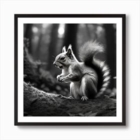 Black And White Squirrel 5 Art Print
