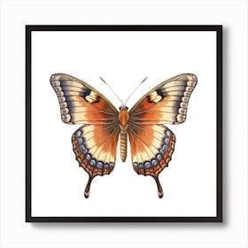 Butterfly 22 Art Print