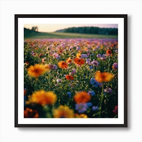 Field Of Flowers 1 Art Print