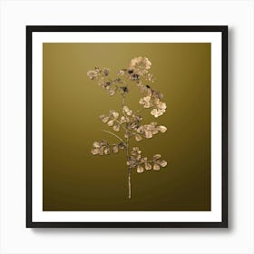Gold Botanical Scorpion Vetch Plant on Dune Yellow n.4272 Art Print