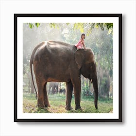 Little Girl Riding Elephant Art Print