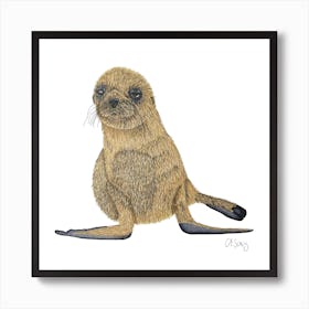 Baby Seal. 1 Art Print