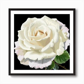 White Rose Art Print