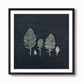 Minimal Leaves On Black Square Art Print