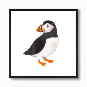 Puffin Square Art Print