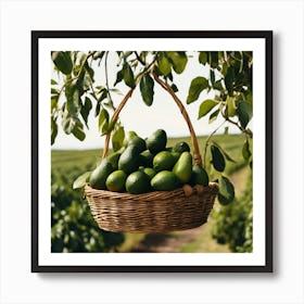 Avocados In A Basket Art Print